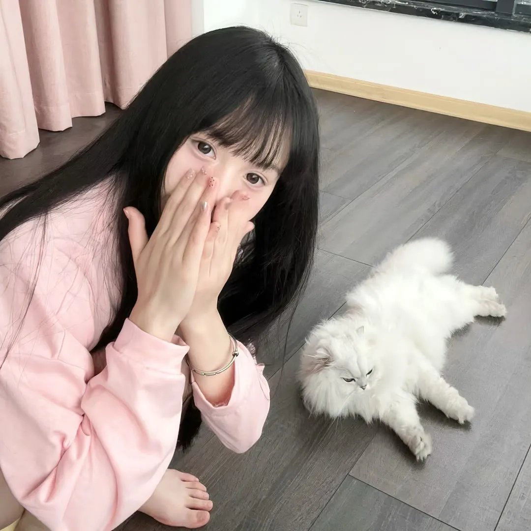 莫斯科行动