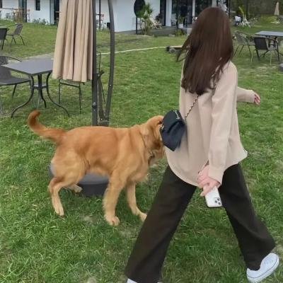 水腹蛇