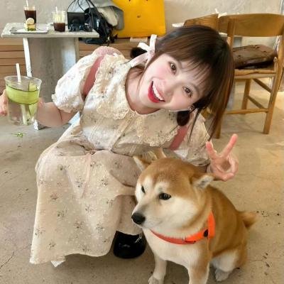 航向真情海